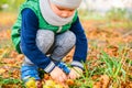 Little boy play with chestnuts in autumn day Royalty Free Stock Photo