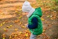 Little boy play with chestnuts in autumn day Royalty Free Stock Photo