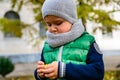 Little boy play with chestnuts in autumn day Royalty Free Stock Photo