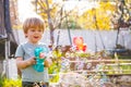 Little boy play with soap bubbles holding bubble gun Royalty Free Stock Photo