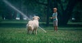 Little boy play water sprinkler on green field with playful golden retriever Royalty Free Stock Photo