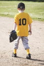 Little boy playing baseball, fielding