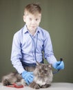 Cute little boy in doctor uniform playing with fluffy cat at home Royalty Free Stock Photo