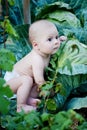 Little boy playing in garden Royalty Free Stock Photo