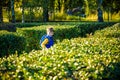 Little boy is playing hide and seek outdoors Royalty Free Stock Photo