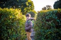 Little boy is playing hide and seek outdoors Royalty Free Stock Photo