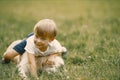 Little boy playing with his dog on a grass Royalty Free Stock Photo