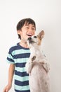 Little boy playing with his friend dog jack russel on white Royalty Free Stock Photo