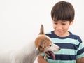 Little boy playing with his friend dog jack russel Royalty Free Stock Photo