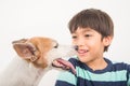 Little boy playing with his friend dog jack russel Royalty Free Stock Photo