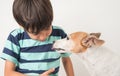 Little boy playing with his friend dog jack russel Royalty Free Stock Photo