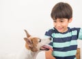 Little boy playing with his friend dog jack russel Royalty Free Stock Photo