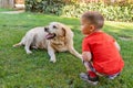 Little boy playing with his pet. Boy play with Golden Labrador retriever. Children and dog in garden Royalty Free Stock Photo