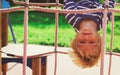 Little boy playing on monkey bars at playground Royalty Free Stock Photo