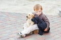 Little boy playing outdoor with a two Labrador puppies Royalty Free Stock Photo