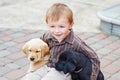 Little boy playing outdoor with a two Labrador puppies Royalty Free Stock Photo