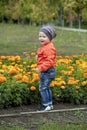 Little boy playing on the playground in the autumn park Royalty Free Stock Photo