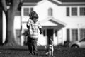 Little boy playing with puppy. Happy child walking dog. Royalty Free Stock Photo