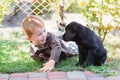 Little boy playing with a puppy labrador in the park Royalty Free Stock Photo