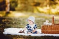 Little boy playing with rabbits