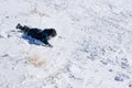 Little boy playing in the snow Royalty Free Stock Photo