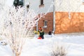 Little boy playing with a snow shovel in the yard in winter Royalty Free Stock Photo