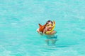 Little boy playing with star fish on tropical beach Royalty Free Stock Photo