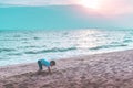 Little boy playing with wave and sand on Pattaya beach Royalty Free Stock Photo