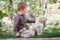 Little boy playing with a white Labrador puppy Royalty Free Stock Photo