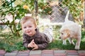 Little boy playing with a white Labrador puppy Royalty Free Stock Photo