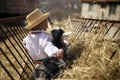 The little boy plays with the goatling in hay