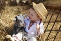 The little boy plays with the goatling in hay