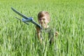 A little boy plays in a field, launches a toy plane