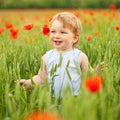 Little boy in poppy field Royalty Free Stock Photo