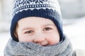 Little boy portrait in winter. Happy child