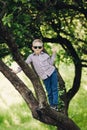 Little boy posing on crown of tree in park in summertime.