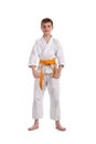 Little boy practice karate Royalty Free Stock Photo