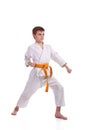 Little boy practice karate Royalty Free Stock Photo