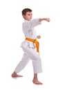 Little boy practice karate Royalty Free Stock Photo