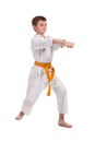 Little boy practice karate Royalty Free Stock Photo