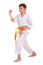 Little boy practice karate Royalty Free Stock Photo