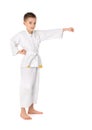 Little boy practicing Karate Royalty Free Stock Photo