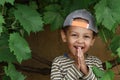 Little boy praying to God with hands held together stock photo Royalty Free Stock Photo