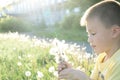 Little boy profile blowing dandelion flower at summer. Happy smiling child enjoying nature in park Royalty Free Stock Photo