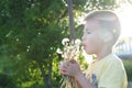 Little boy profile blowing dandelion flower at summer. Happy smiling child enjoying nature in park Royalty Free Stock Photo