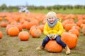 Little boy on a pumpkin farm at autumn. Preschooler child a sitting on huge pumpkin