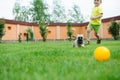 Little boy is racing with his dog