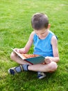 Little boy reading book outdoors on grass Royalty Free Stock Photo