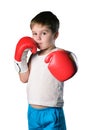 Little boy with red boxing gloves on white background isolated Royalty Free Stock Photo