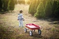 Little boy with red wagon Royalty Free Stock Photo